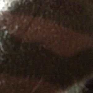 Meet your Posher, Tony